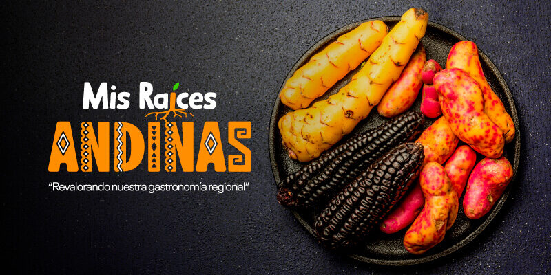 tuberculos y granos andinos